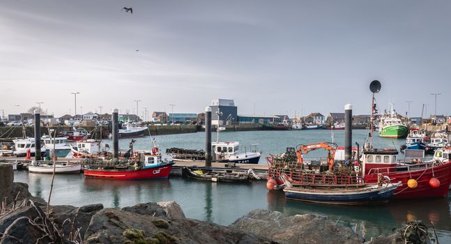 Howth near Dublin, Ireland - February 15, 2019: view of the fishing port of the city where are parked professional fishing boats on a winter day