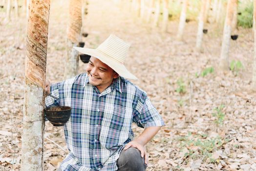 Asian man farmer agriculturist happy at a rubber tree plantation with Rubber tree in row natural latex is a agriculture harvesting natural rubber in white milk color for industry in Thailand