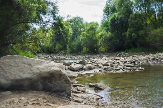 Landscape by the river against the backdrop of the forest on a summer day.