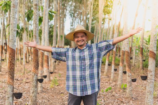 Asian man farmer agriculturist happy at a rubber tree plantation with Rubber tree in row natural latex is a agriculture harvesting natural rubber in white milk color for industry in Thailand