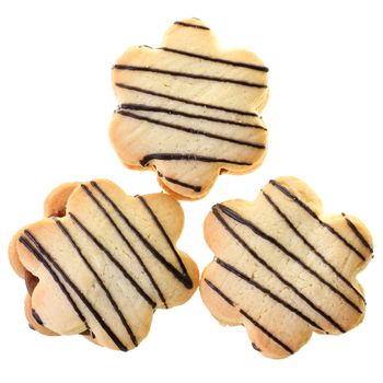 Homemade cookies sandwich with chocolate and custard top view isolated on white background.