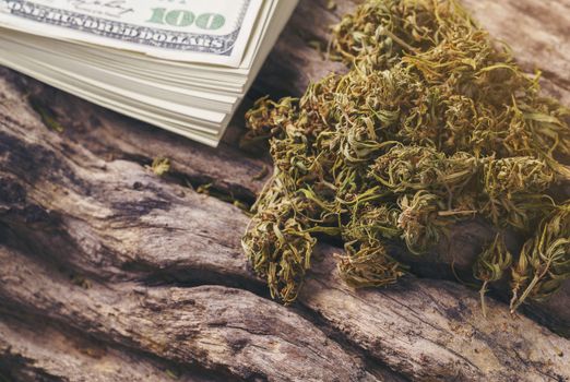 dried cannabis medical marijuana with dollar banknote