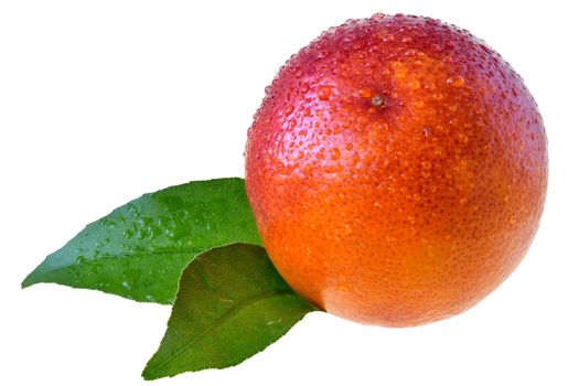 Blood orange with leaf isolated on a white background