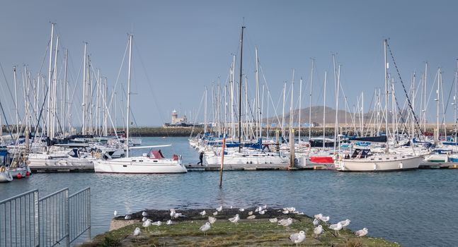 Howth near Dublin, Ireland - February 15, 2019: view of the marina of the city where are parked tourist boats on a winter day