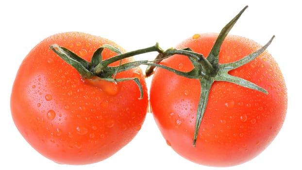 Two tomato on branch top view isolated on white background.