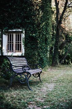 bench and window with leaves texture at English park