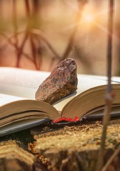 A book put on a tree trunk with a stone on a page is illuminated by a strong and warm sun