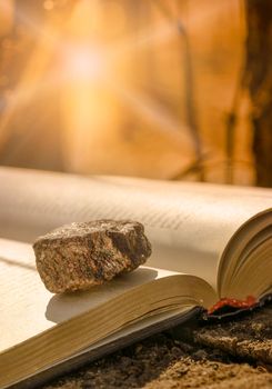 A book put on a tree trunk with a stone on a page is illuminated by a strong and warm sun