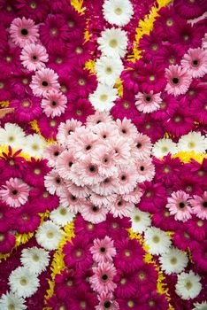 colorfull flowers at the Festa da Flor or Spring Flower Festival in the city of Funchal on the Island of Madeira in the Atlantic Ocean of Portugal.  Madeira, Funchal, April, 2018