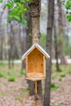 Handwork bird house made of chipboard and zinc in the woods during spring