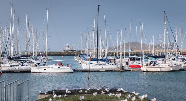 Howth near Dublin, Ireland - February 15, 2019: view of the marina of the city where are parked tourist boats on a winter day