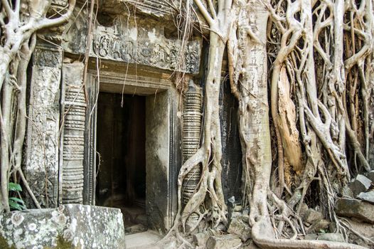 Overgrown doorway in the ruined Khmer Temple of Ta Prohm, known as tree Temple. Angkor, Siem Reap, Cambodia. Kapok and sacred fig trees grow throughout.