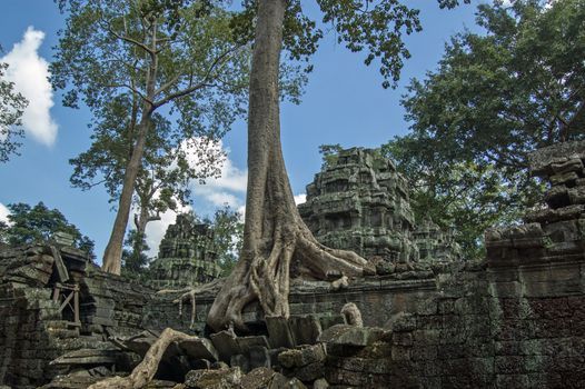 The ancient Khmer temple of Ta Prohm, known locally as Tree Temple as it has been overgrown by the jungle. Angkor, Cambodia.