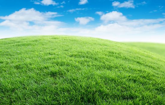 Green grass with blue sky