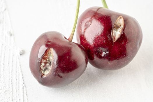 closeup of mouldy cherry fruits on a white background with copy space