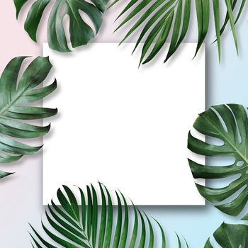 Summer tropical leaves with blank white paper