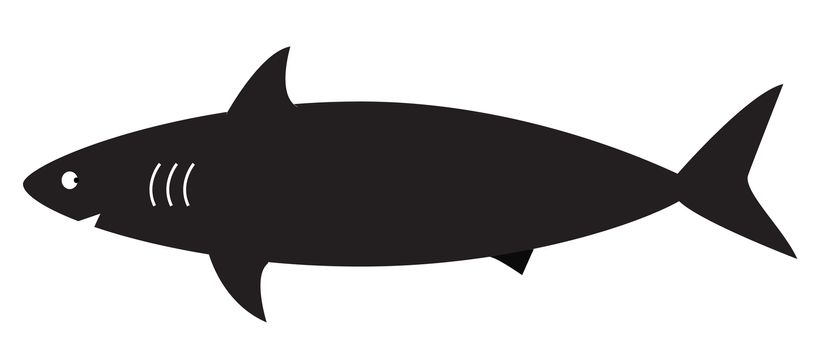 shark sign logo on a white background. flat style. shark icon for your web site design, logo, app, UI. shark symbol.