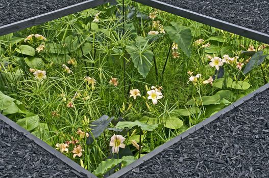 Interesting sunken garden with exotic plants and flowers