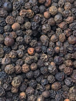 Black pepper is a dry fruit cultivated and used as a spice