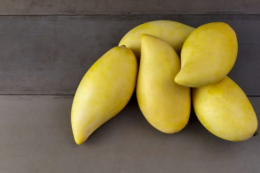 Yellow Fresh mangos on real wood table. Mango tropical fruit on wood background. mangos with copy space.