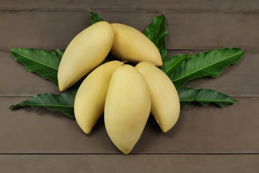 Yellow Fresh mangos on real wood table. Mango tropical fruit on wood background. mangos with copy space.
