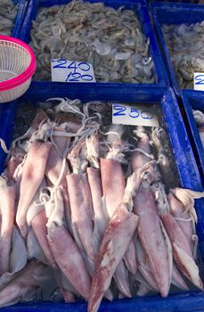 Fresh squid and Pacific white shrimp soaked in a blue ice tray in the local market of Thailand