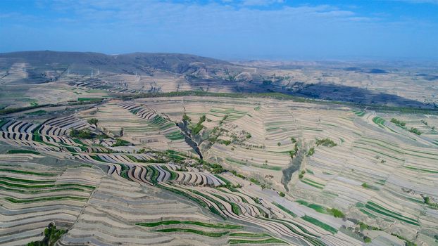 Aerial view of terraced farm field mass production during summer dry season in Tianshui, Gansu Province, China.