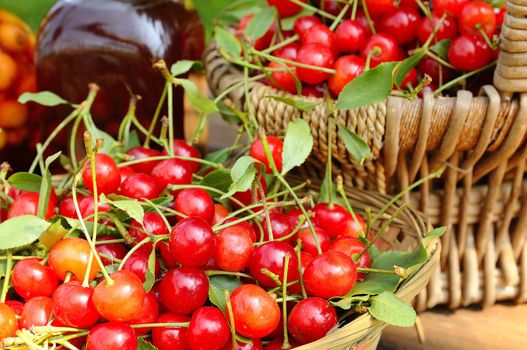 Baskets with cherries to make cherry liqueur.