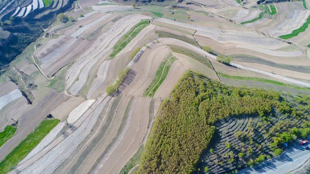 Aerial view of terraced farm field mass production during summer dry season in Tianshui, Gansu Province, China.