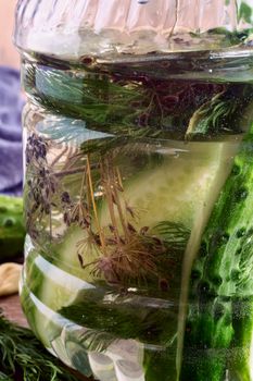 On the table in a glass jar lightly salted cucumbers in cucumber brine with spices: garlic, dill, black pepper. Presented close-up.