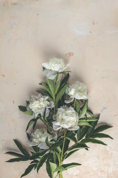 Flat lay composition with white peony flowers on a light pink concrete background