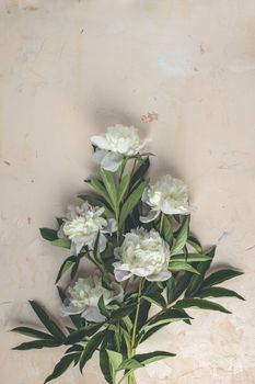 Flat lay composition with white peony flowers on a light pink concrete background