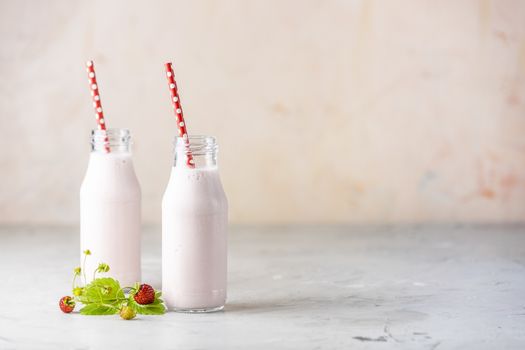 Bottles with delicious strawberry milkshake or smoothie with branch of wild strawberry on table and pink background.
