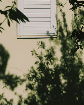 Shadows on the wall, sunshine and sun rays on summer day at sunset, nature and abstract concept