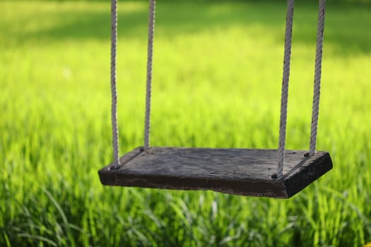 Wooden swing at outside with lush rice background
