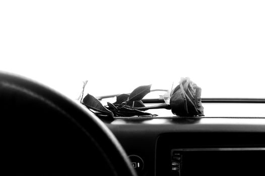 a black and white view of a rose flower lies on the dashboard inside the car