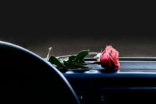 a red rose flower lies at night by moonlight on the dashboard inside the car