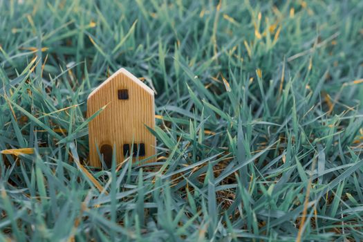 Closed up tiny home model on green grass with sunlight background.