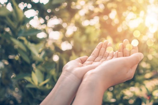 Woman hands place together like praying in front of nature green bokeh background.