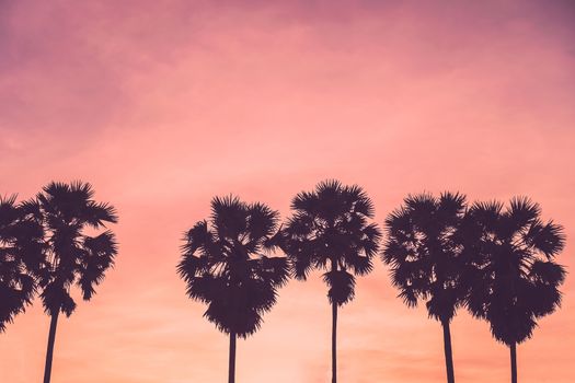 Tropical palm coconut trees on sunset sky flare and bokeh nature background.