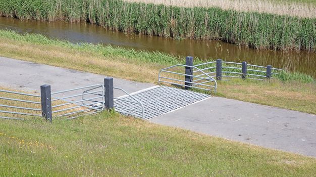 Cattle grid in ground, an obstacle used to prevent wild cattle and other wildlife from crossing