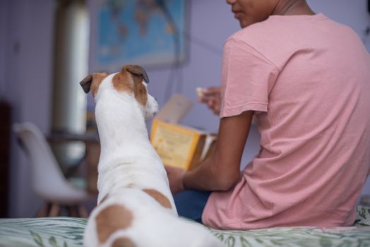 Rear view of young boy sharing popcorn with his pet