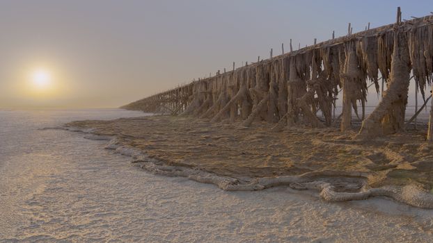 Salt concretions on the extraction pump in the salt plains of Asale Lake in the Danakil Depression in Ethiopia, Africa.