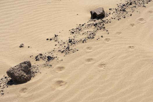 Close up of the Skeleton Coast desert dunes in the morning in Namibia with pow prints.