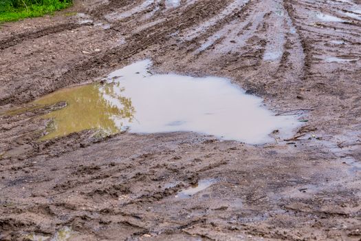 puddle in dirt road at summer daylight - close-up with selective focus, diagonal composition.