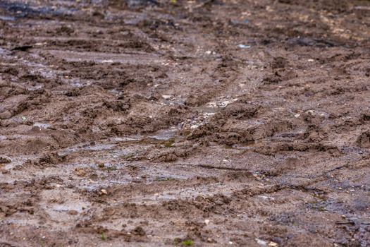 dirty clay mud road with tire tracks - closeup with selective focus and field blur