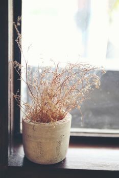 Dry plant flower in vase on the wood window