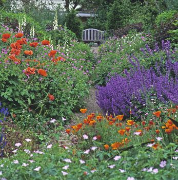 Seat in colourful border at Country House Gardens with poppies and catmint