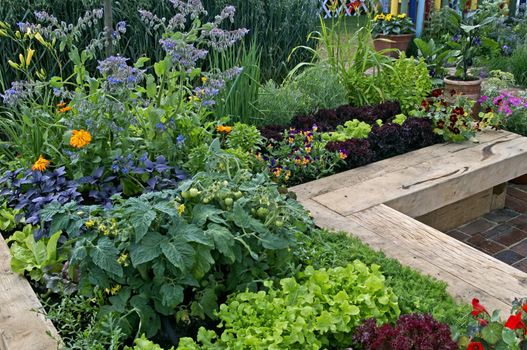 Childrens edible vegetable and flower garden in raised beds