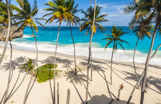 Bottom Bay is one of the most beautiful beaches on the Caribbean island of Barbados. It is a tropical paradise with palms hanging over turquoise Atlantic ocean